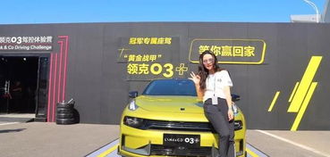 國產汽車品牌的集大成者，為何領克銷量一般？